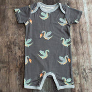 Dragons Shortall